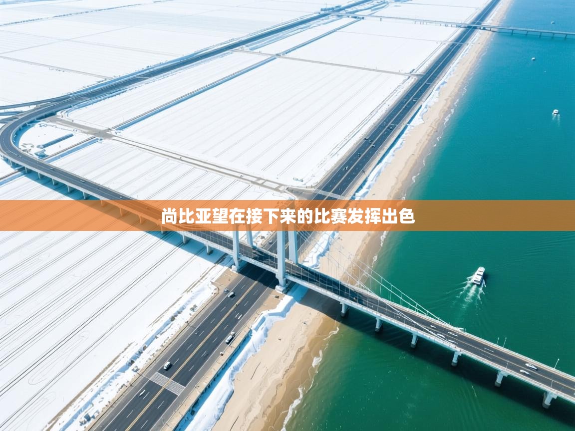 尚比亚望在接下来的比赛发挥出色  第1张