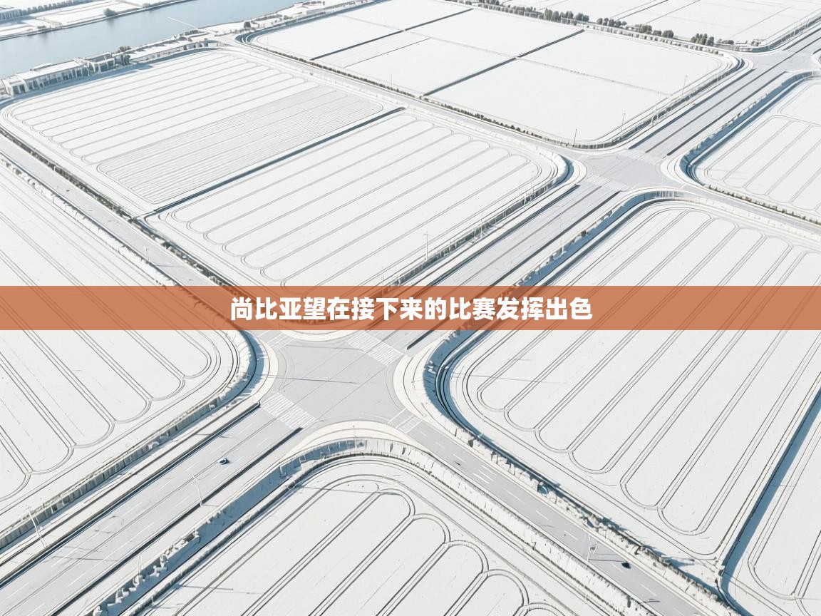 尚比亚望在接下来的比赛发挥出色  第2张